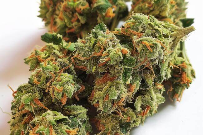 Cannabis Strain Dip N Stix THCa 