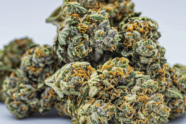 Cannabis Strain Gelato #33 THCa 