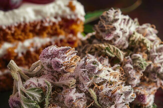 Cannabis Strain Grape Cream Cake THCa 