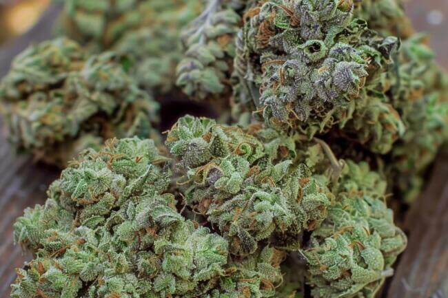 Cannabis Strain Greasy Runtz THCa 