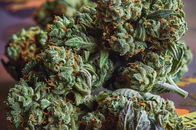 Cannabis Strain Jelly Breath THCa 
