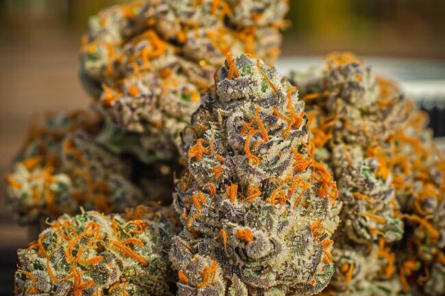 Cannabis Strain Orange Kush Cake THCa 