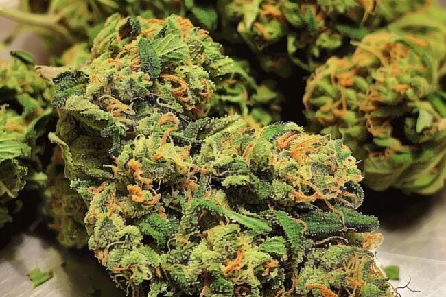 Cannabis Strain Pineapple Chunk THCa 