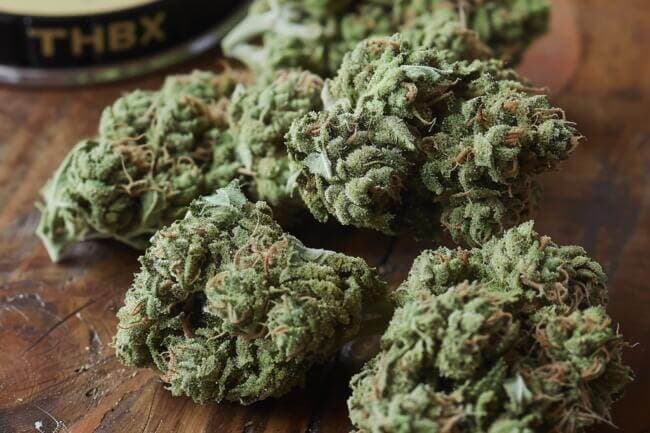 Cannabis Strain Pure Michigan THCa 
