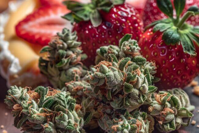 Cannabis Strain Strawberry Cheesecake THCa 