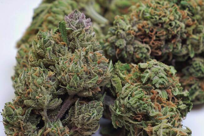 Cannabis Strain The Original Z THCa 