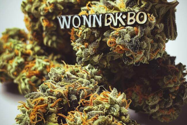 Cannabis Strain Wonka Bars THCa 