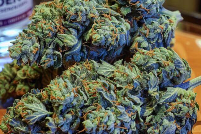 Marijuana Strain Blue Candy THCa 
