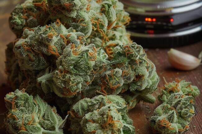 Marijuana Strain Garlic Budder THCa 